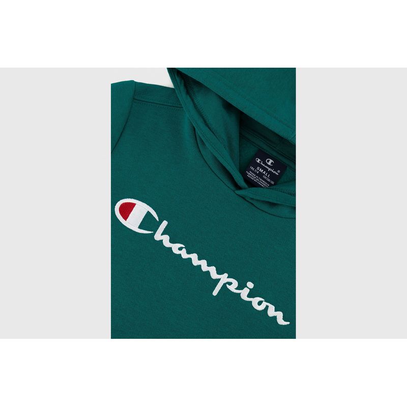 champion-felpa-perchada-ligera-verde-306497-gs571-3.jpeg