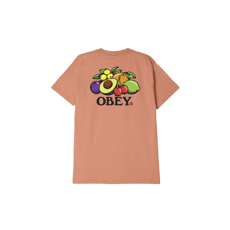 obey-bowl-of-fruit-naranja-165263416-cit-2.jpeg