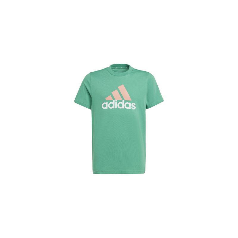 adidas-essentials-two-color-verde-ib8776-1.jpeg