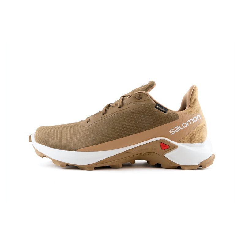 salomon-alphacross-3-gore-tex-marrones-l41446800-1.jpeg