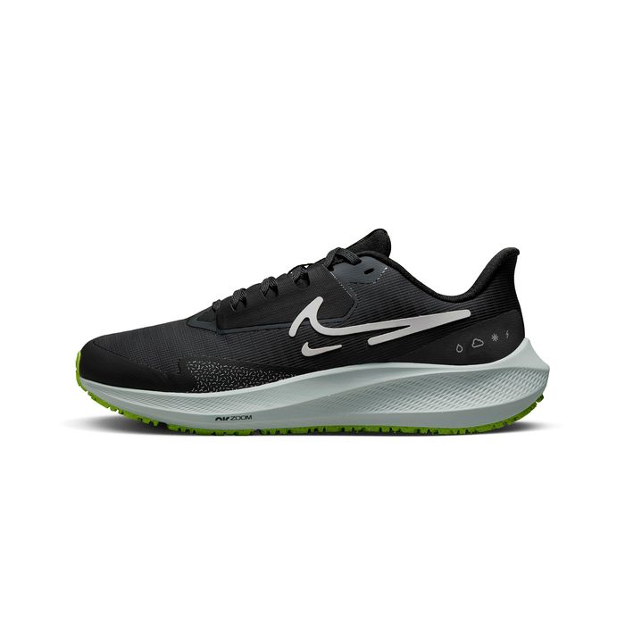 Air Zoom Pegasus 39 Shield