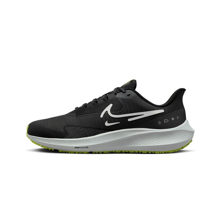 Air Zoom Pegasus 39 Shield