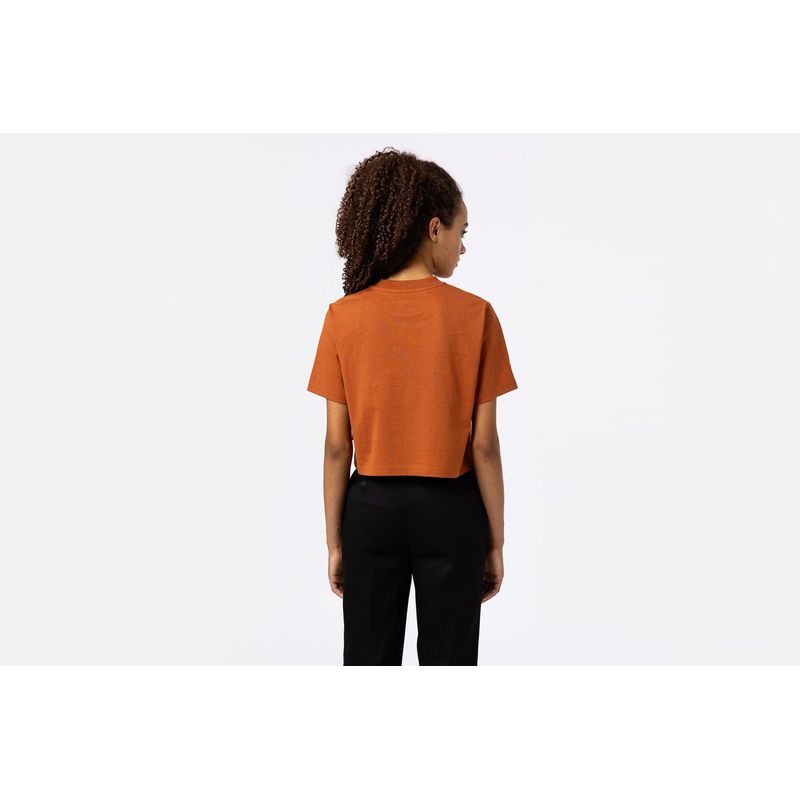 dickies-porterdale-naranja-dk0a4xdeiex1-2.jpeg