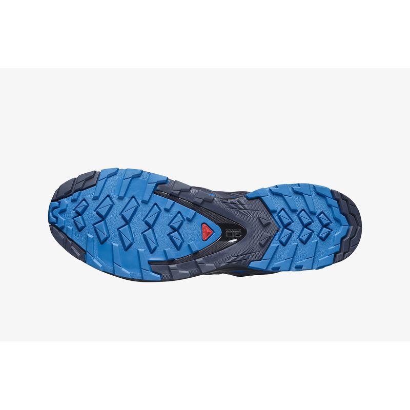 Zapatillas SALOMON XA PRO 3D V8 GORE-TEX Azules - Atleet