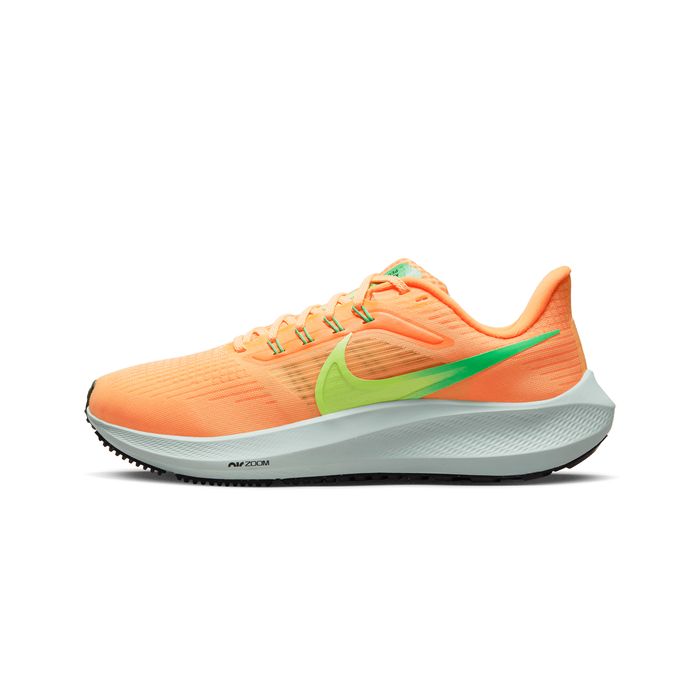 Air Zoom Pegasus 39