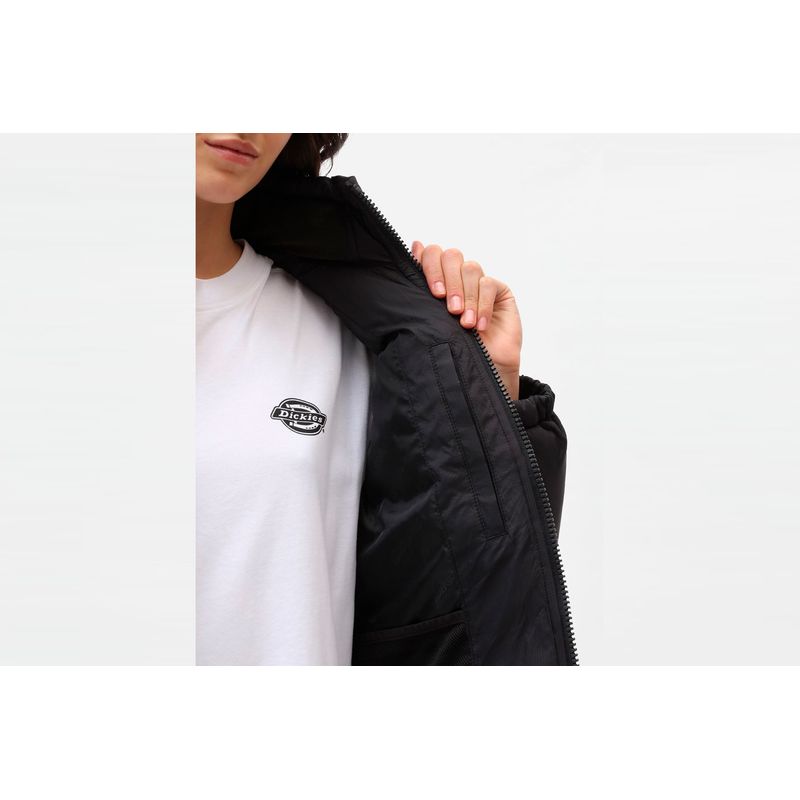 dickies-alatna-negro-dk0a4xp3blk1-5.jpeg