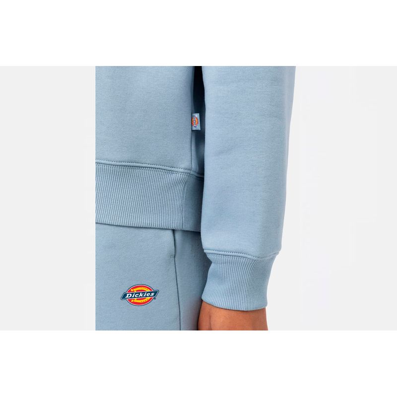 dickies-oakport-azul-dk0a4xd5c991-4.jpeg