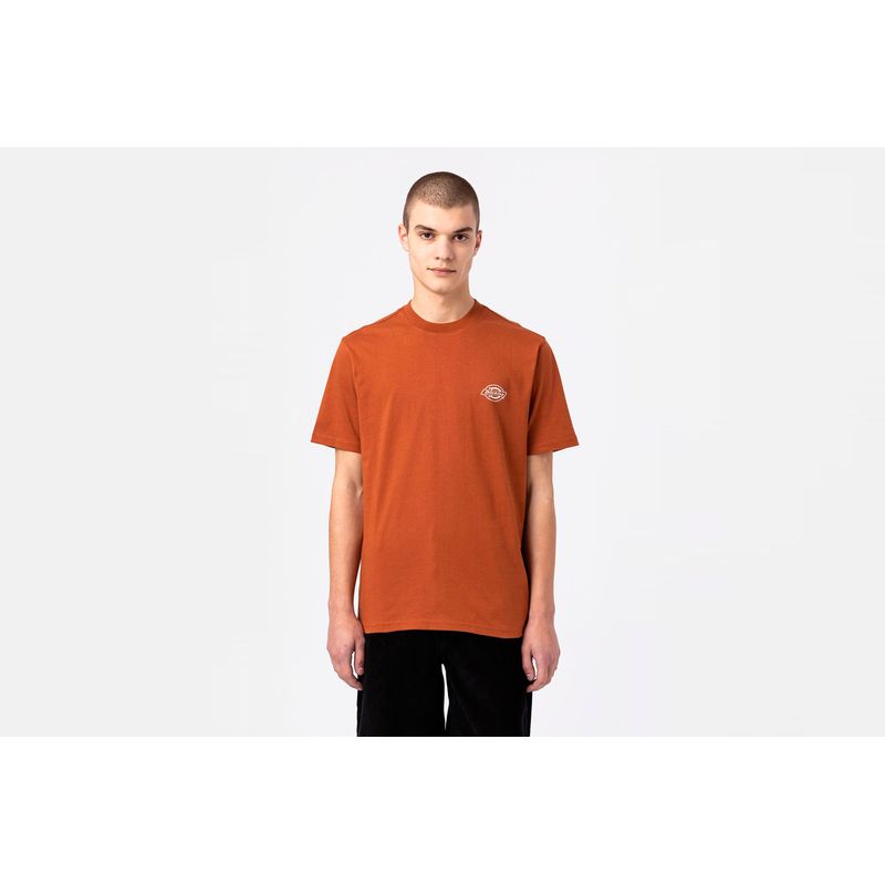 dickies-holtville-naranja-dk0a4y3aiex1-1.jpeg