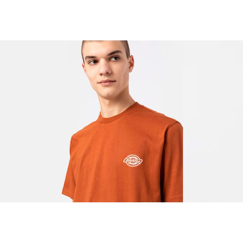 dickies-holtville-naranja-dk0a4y3aiex1-3.jpeg