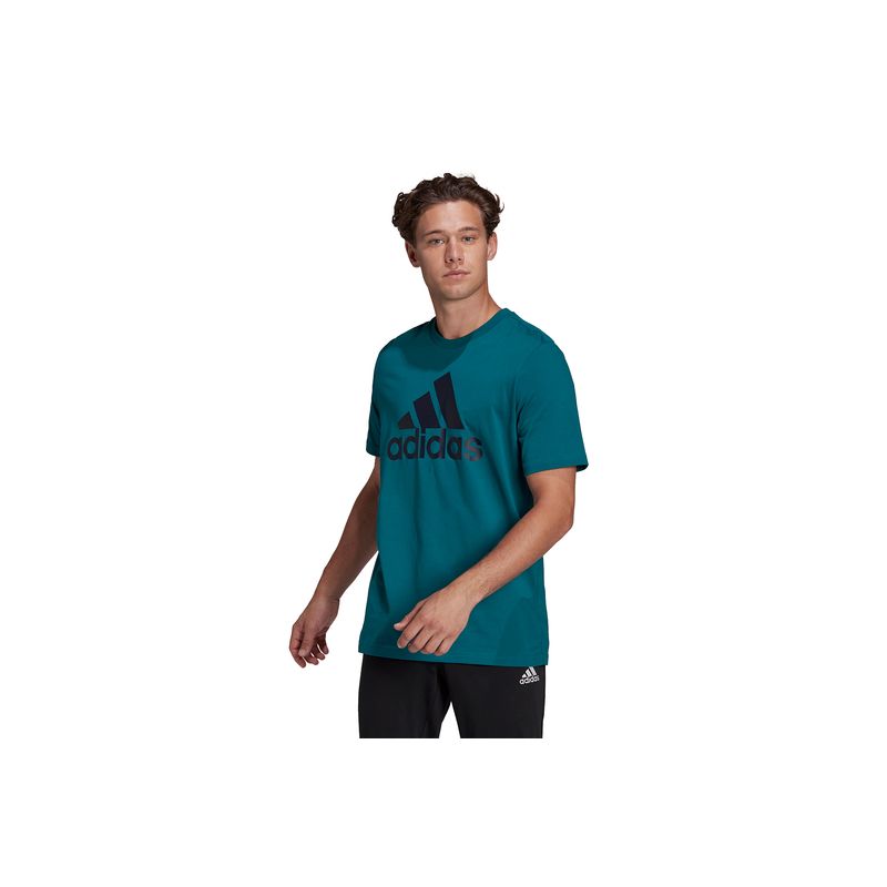 adidas-essentials-big-logo-verde-he1844-1.jpeg