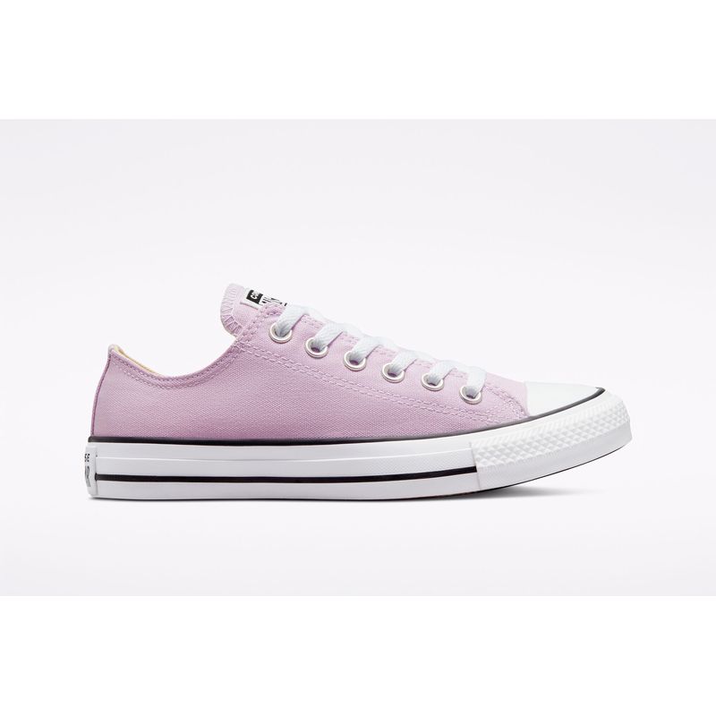 converse-chuck-taylor-all-star-seasonal--172689c-2.jpeg