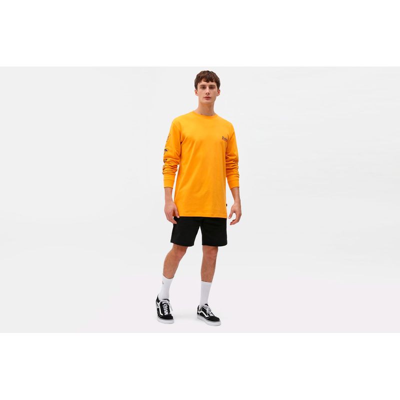 dickies-champlin-negro-dk0a4xayblk1-2.jpeg