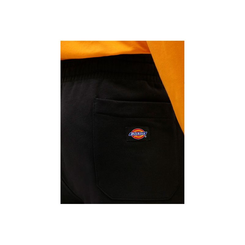 dickies-champlin-negro-dk0a4xayblk1-3.jpeg