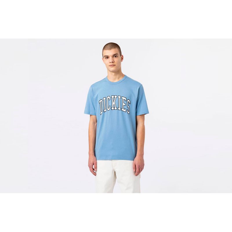 dickies-aitkin-azul-dk0a4x9fc361-1.jpeg