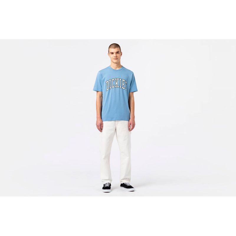 dickies-aitkin-azul-dk0a4x9fc361-3.jpeg