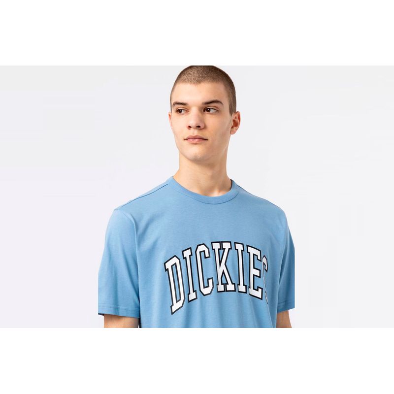 dickies-aitkin-azul-dk0a4x9fc361-4.jpeg