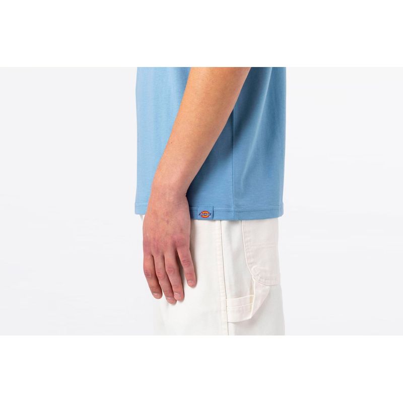 dickies-aitkin-azul-dk0a4x9fc361-5.jpeg
