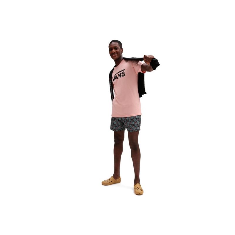 vans-classic-rosa-vn000gggyuh1-2.jpeg
