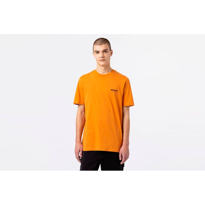 dickies-artondale-box-naranja-dk0a4xnyc381-1.jpeg