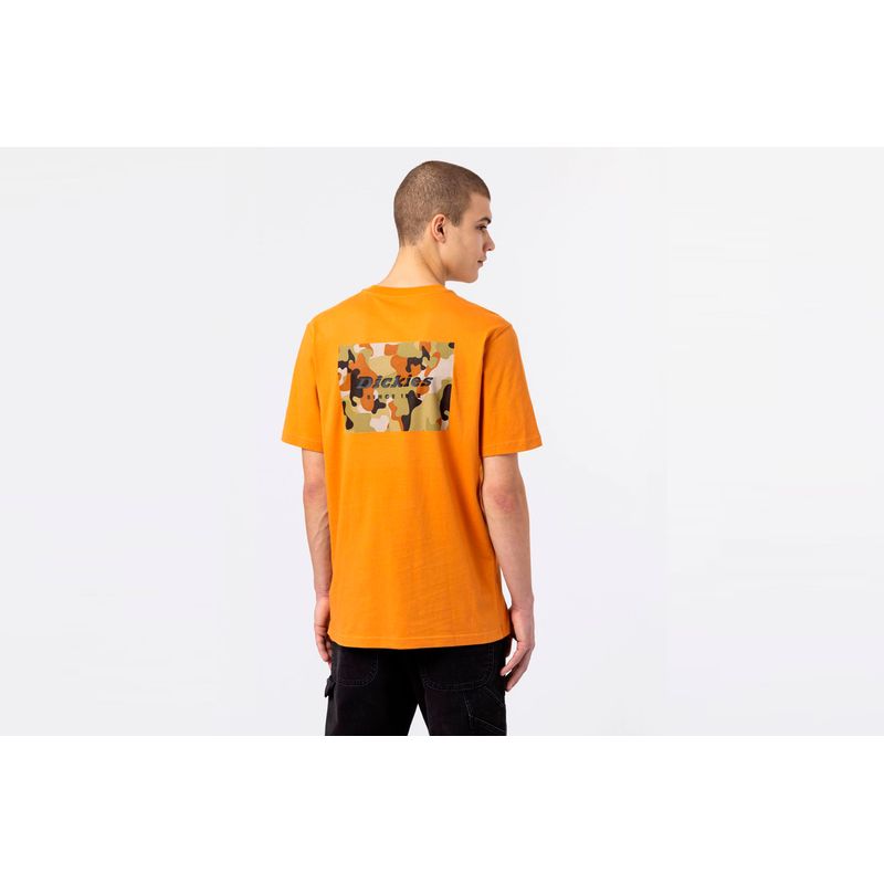 dickies-artondale-box-naranja-dk0a4xnyc381-2.jpeg