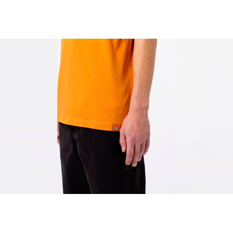 dickies-artondale-box-naranja-dk0a4xnyc381-4.jpeg