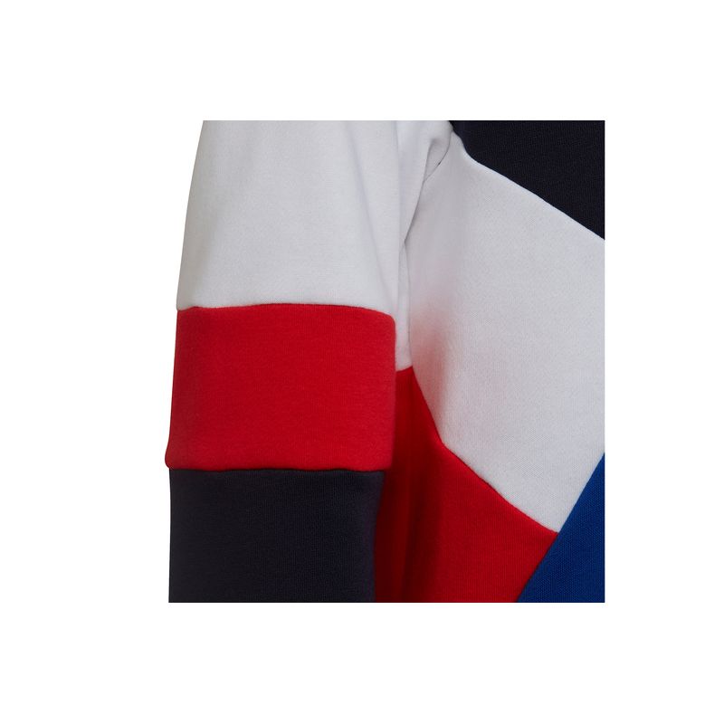 adidas-colorblock-fleece-multicolor-ha4006-4.jpeg