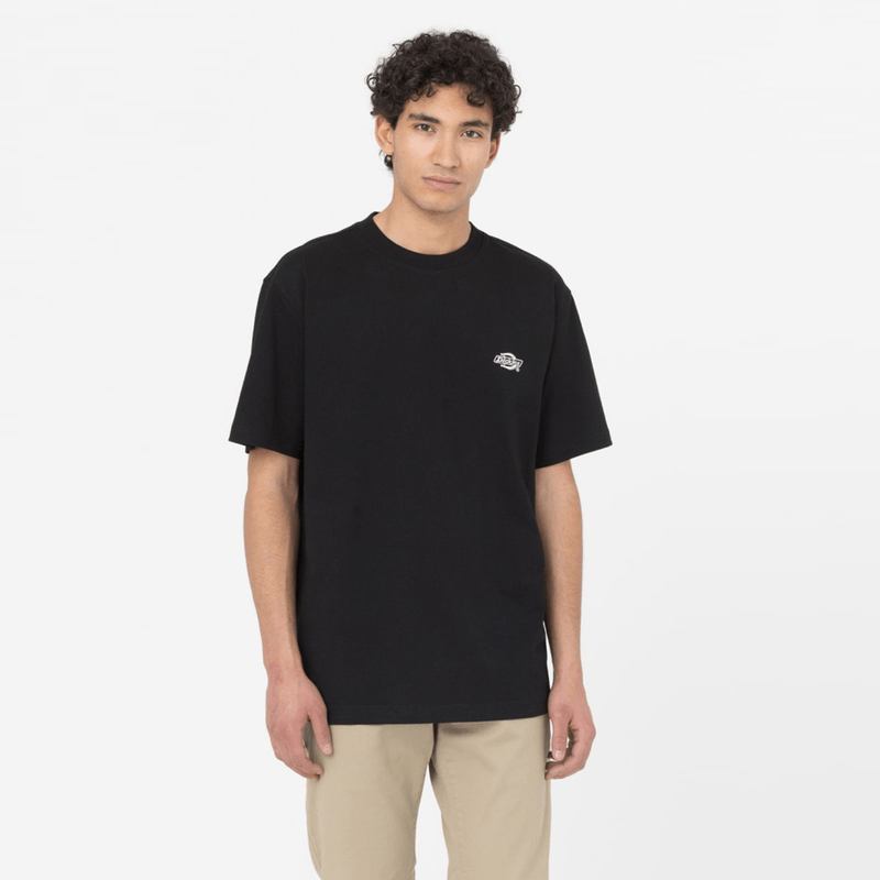 dickies-summerdale-negra-dk0a4yaiblk1---black-1.png