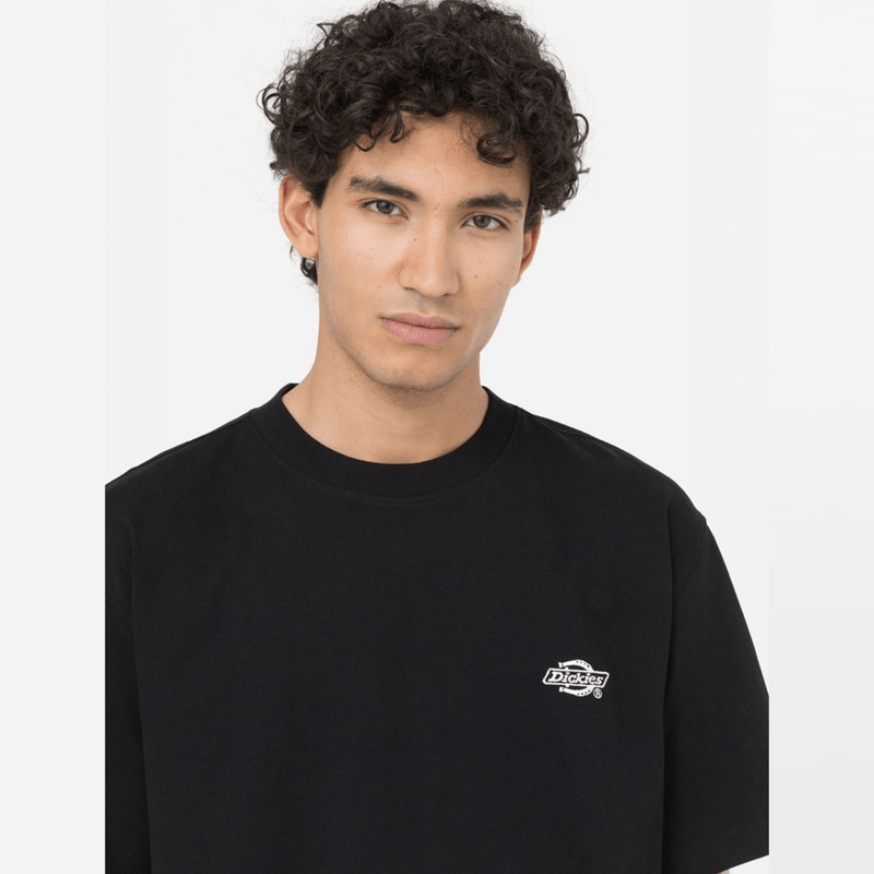 dickies-summerdale-negra-dk0a4yaiblk1---black-3.png