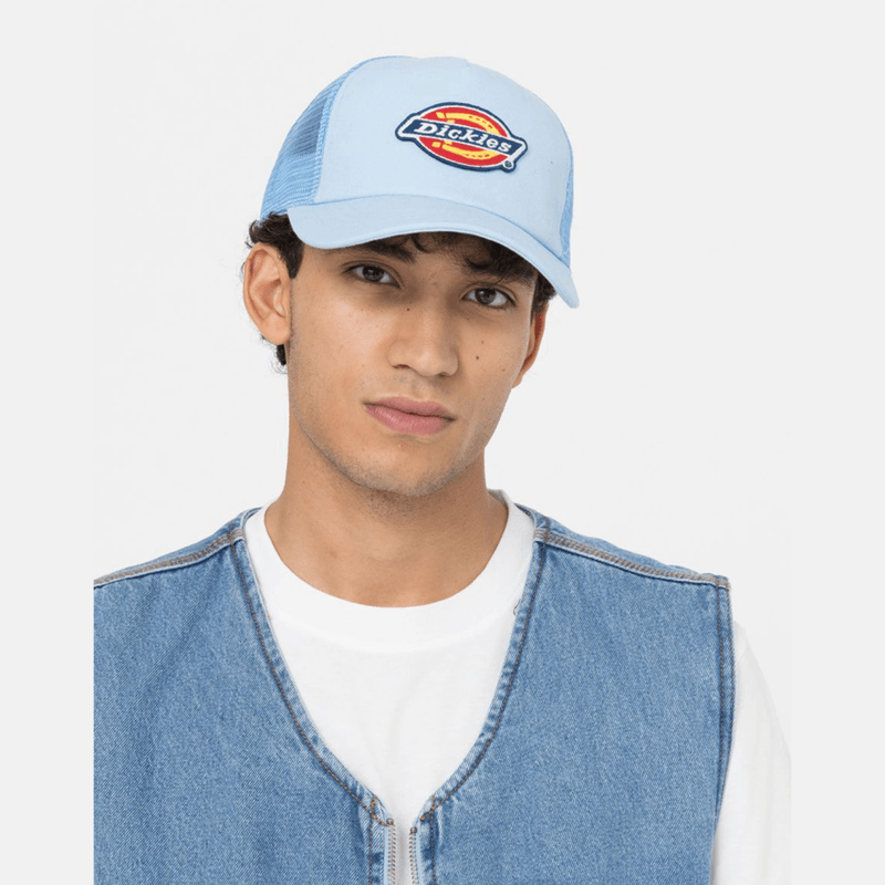 dickies-sumiton-azul-dk0a4xyge651-1.png