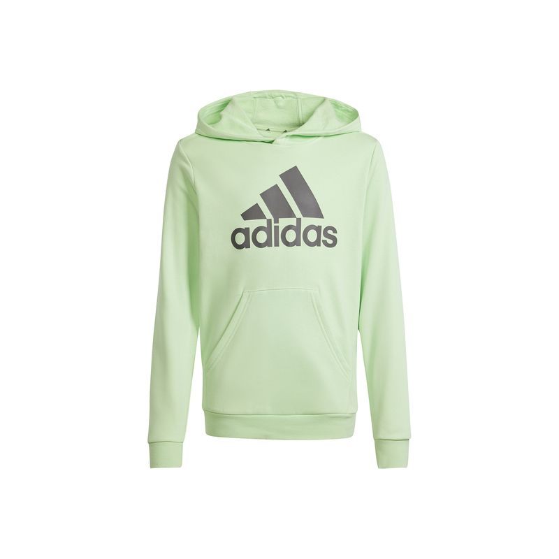 adidas-big-logo-essentials-verde-is2591-1.jpeg