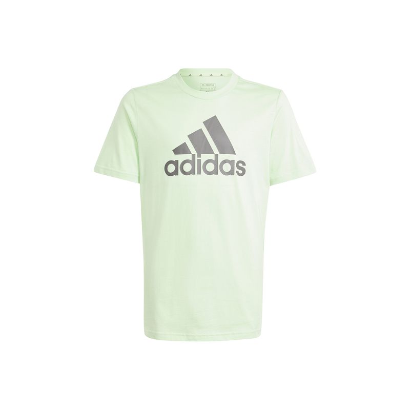 adidas-essentials-big-logo-verde-is2581-1.jpeg