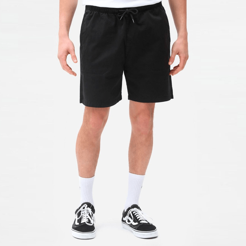 dickies-pelican-rapids-negro-dk0a4xb2blk1-1.png