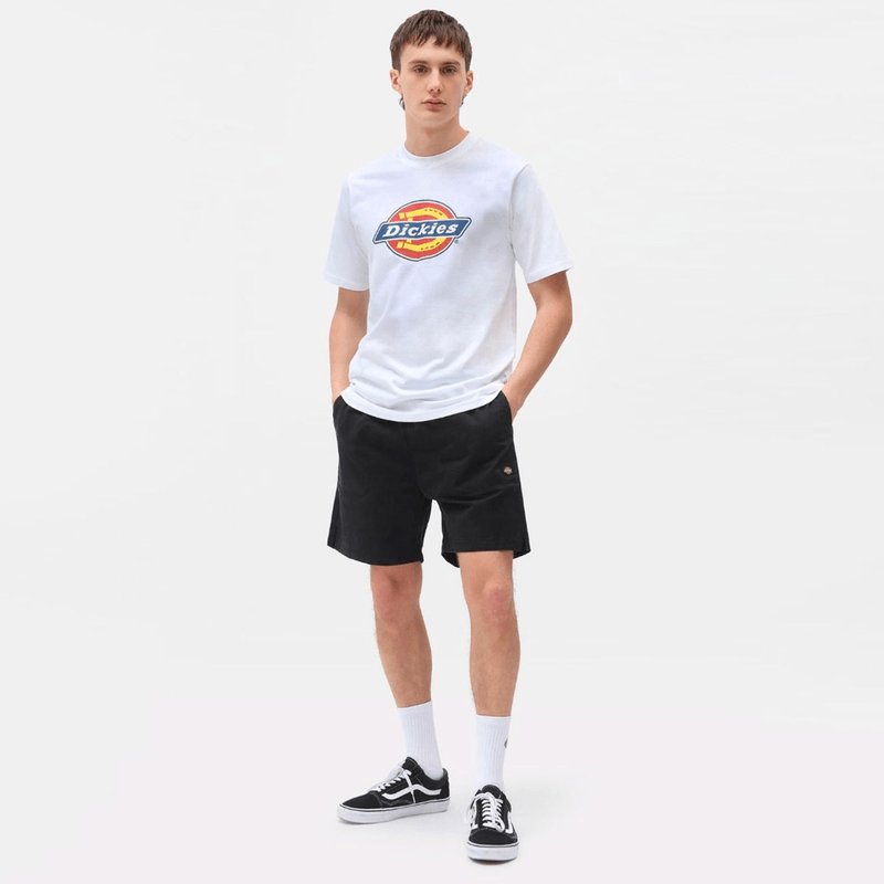 dickies-pelican-rapids-negro-dk0a4xb2blk1-2.png