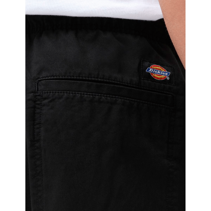 dickies-pelican-rapids-negro-dk0a4xb2blk1-3.png