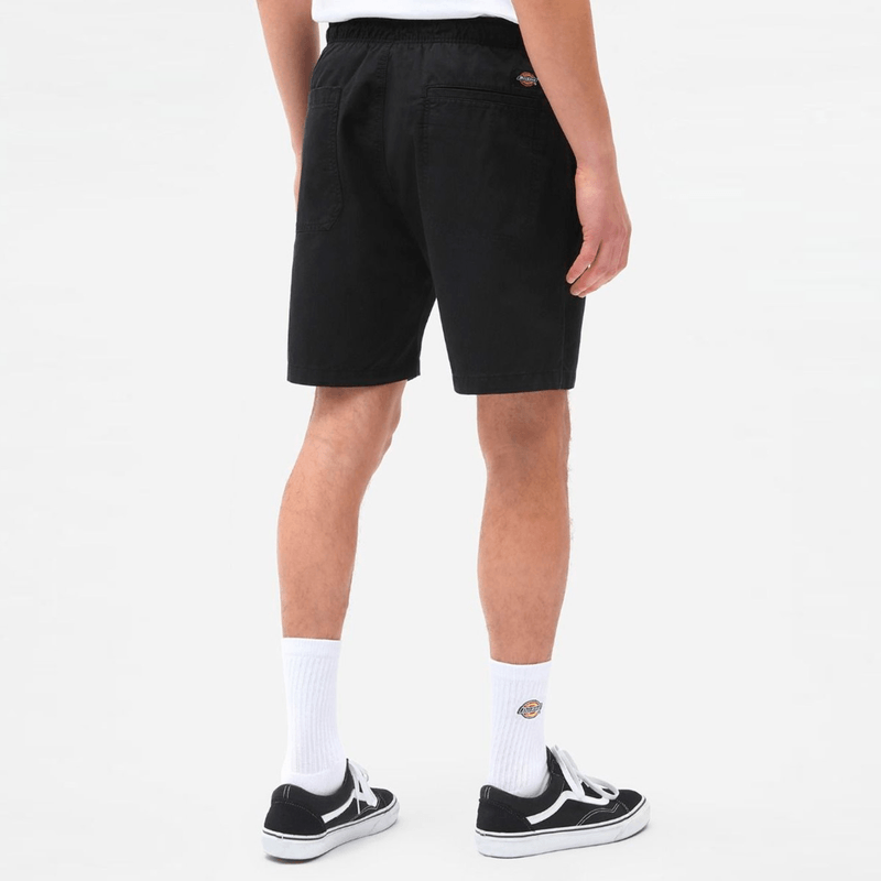 dickies-pelican-rapids-negro-dk0a4xb2blk1-4.png