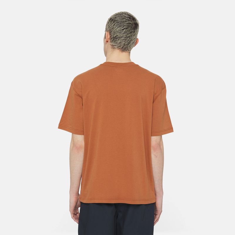 dickies-dumfries-naranja-dk0a4yr8h161-2.jpeg