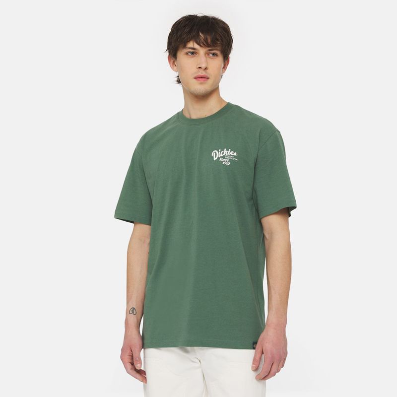 dickies-raven-verde-dk0a4yymh151-1.jpeg