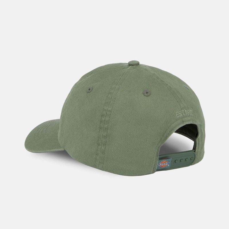 dickies-hardwick-verde-dk0a4tkvh151-2.jpeg