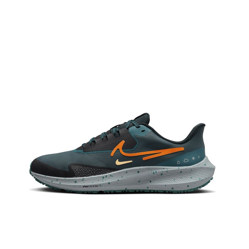 nike-pegasus-39-shield--do7625-300-1.jpeg