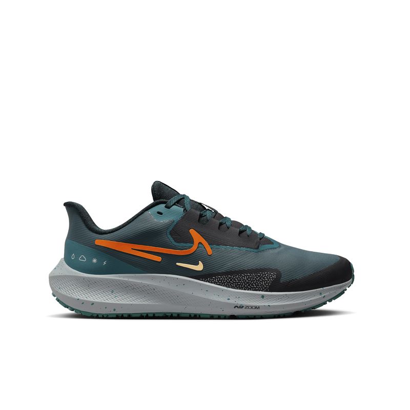 nike-pegasus-39-shield--do7625-300-2.jpeg