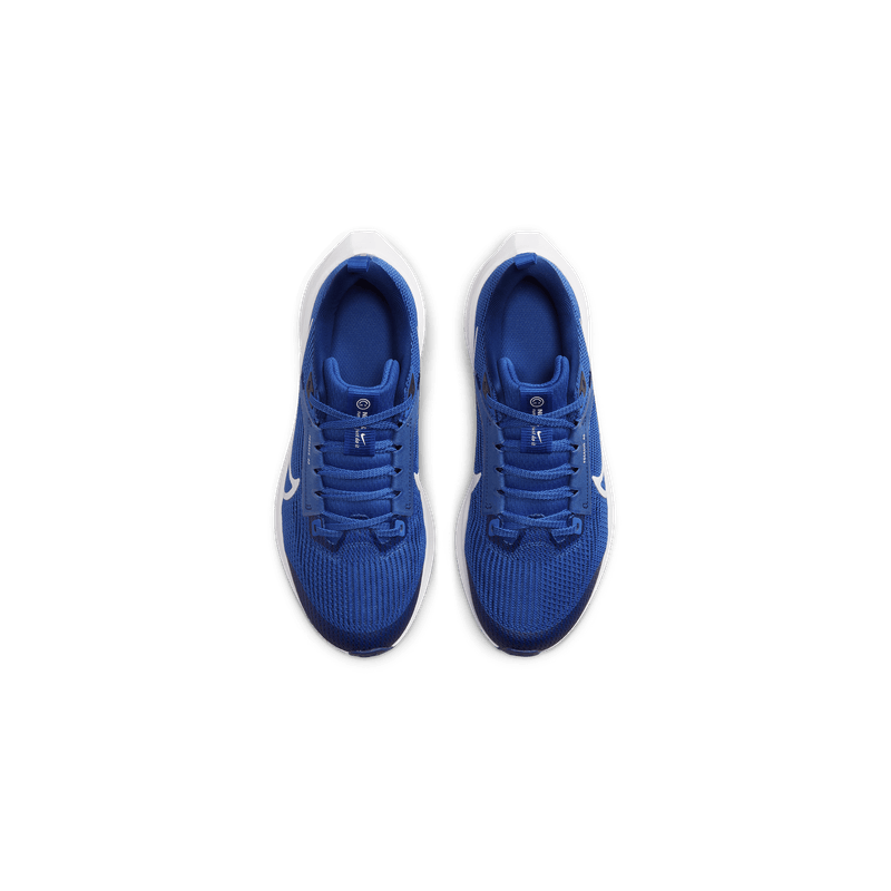 nike-air-zoom-pegasus-40-azules-dx2498-400-4.png
