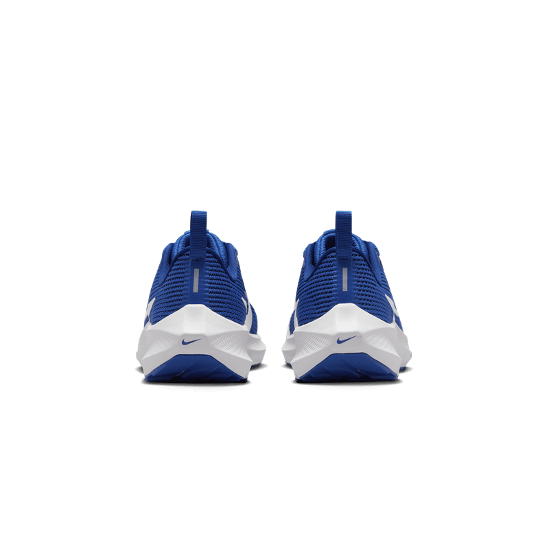 nike-air-zoom-pegasus-40-azules-dx2498-400-5.png