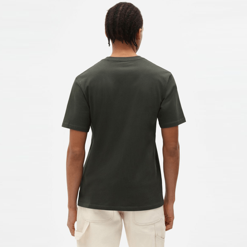 dickies-mapleton-verde-dk0a4xdbogx1-2.png