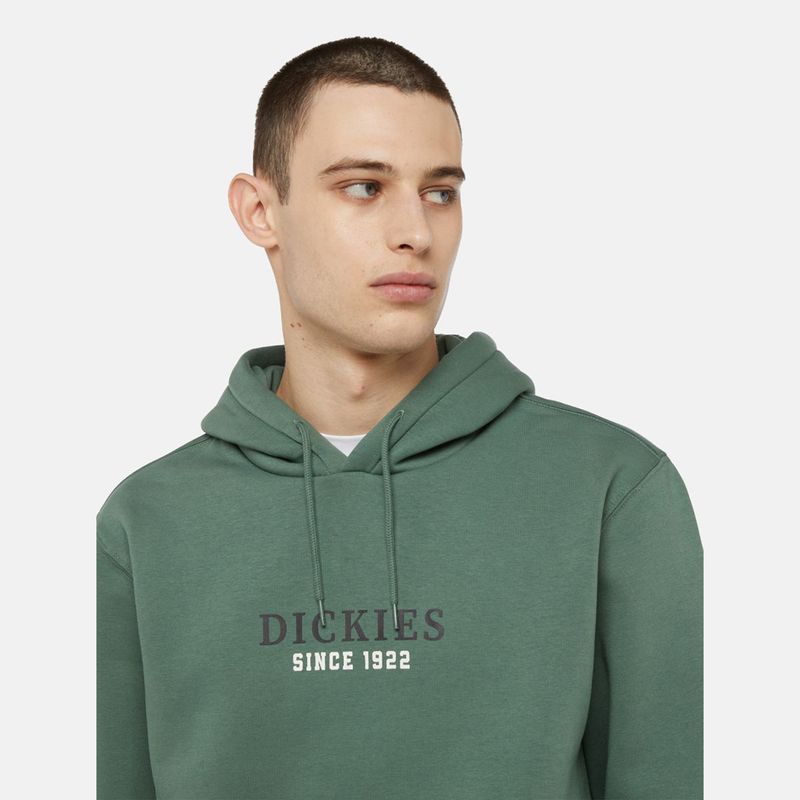 dickies-park-verde-dk0a4yehh151-3.jpeg