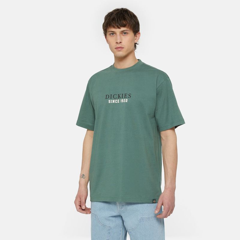 dickies-park-verdes-dk0a4yfdh151-1.jpeg