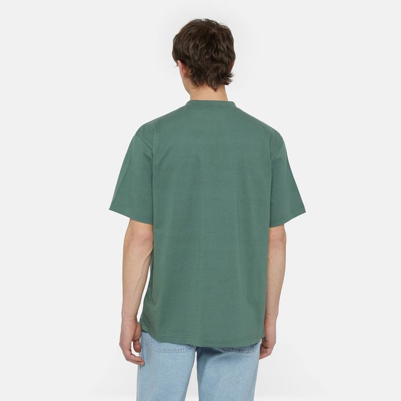 dickies-park-verdes-dk0a4yfdh151-2.jpeg