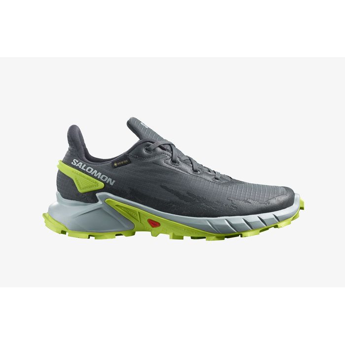 ALPHACROSS 4 Gore Tex