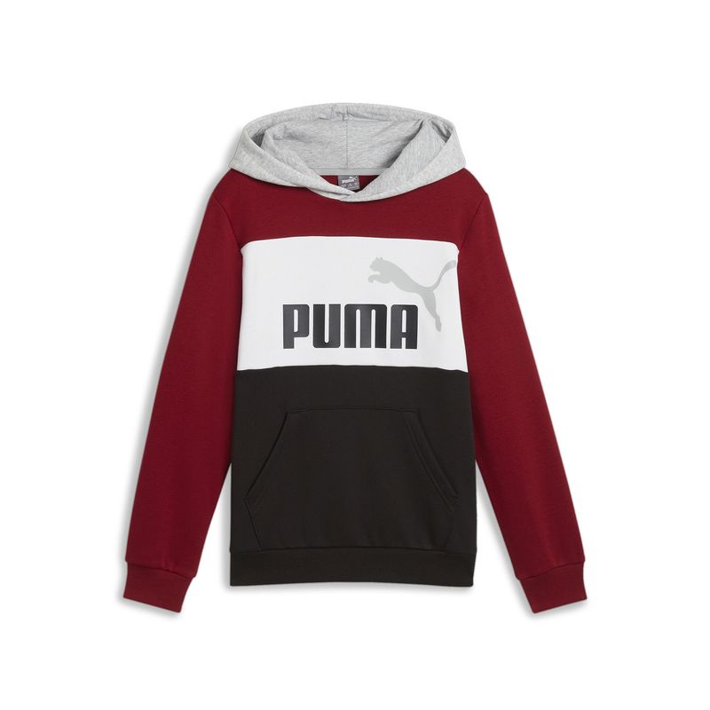 puma-essentials-block-multicolor-679717-13-1.jpeg