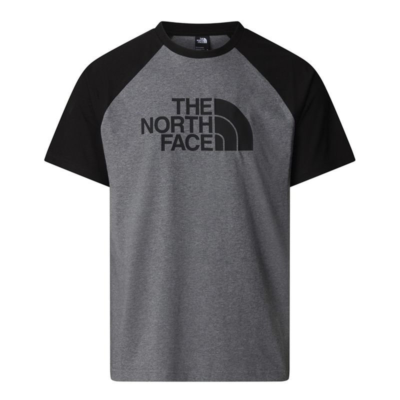 the-north-face-raglan-easy-gris-nf0a8a6edyy1-1.jpeg