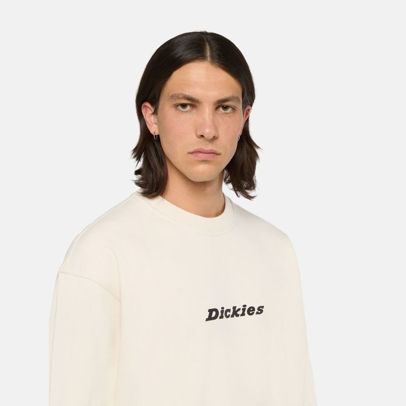 dickies-enterprise--dk0a4z4kf901-3.jpeg